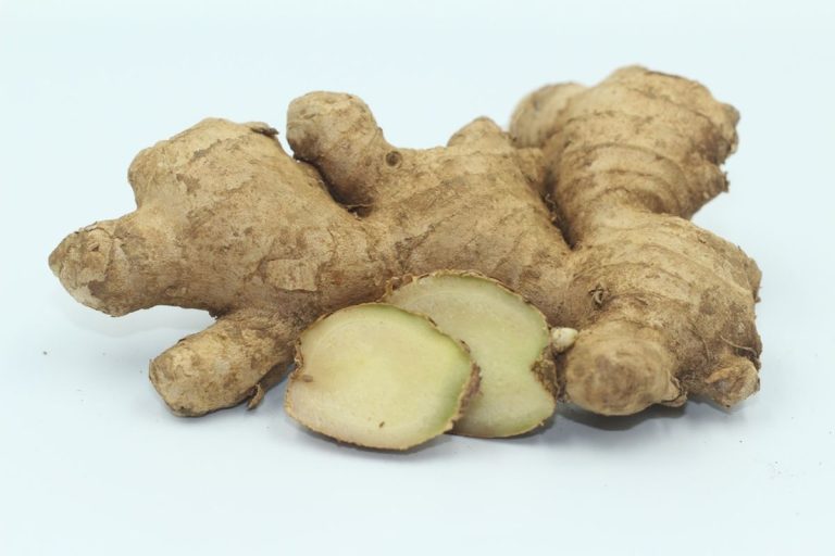 Read more about the article Fresh Elephant Ginger – A Versatile Rhizome with a Mild Flavor and a Myriad of Benefits